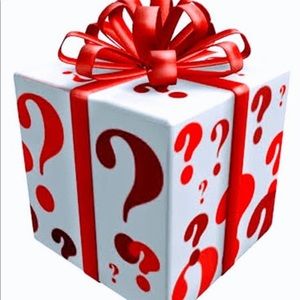 HUGE Mystery Box Bundle 12 Women’s Clothing & Jewelry Boutique Value $300! M